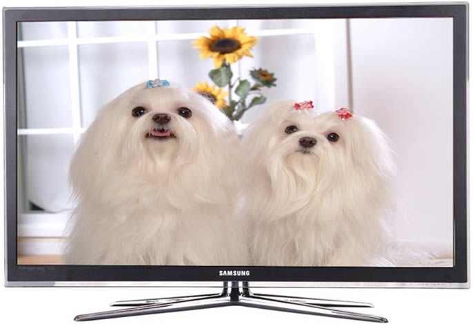 ����Һ���ҕ��(b��o)���Ԓ0755-36989889