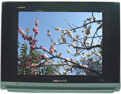 ��(chu��ng)�SCRT�ҕ�����Ԓ0755-36989889