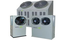 ������{�S��